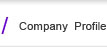Company Profile